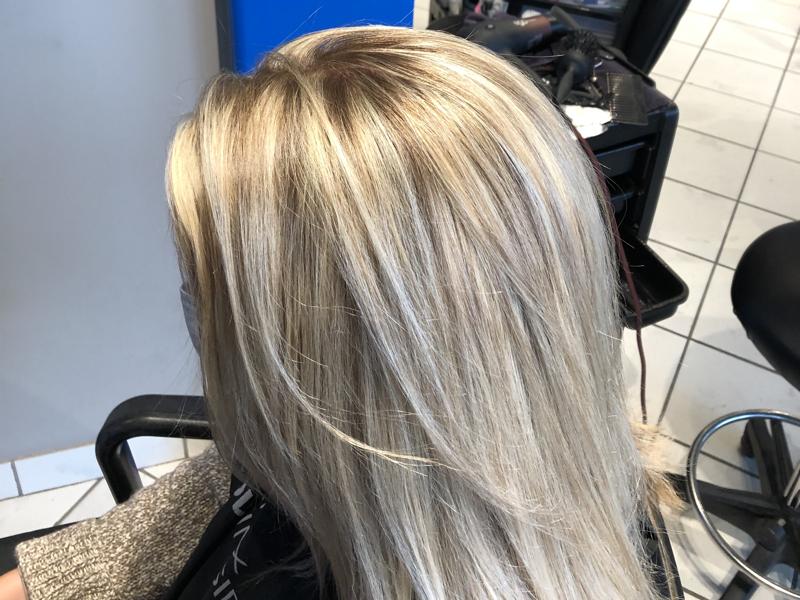 In the Salon